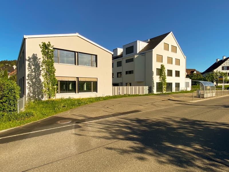 Modern commercial units with versatile potential in the Greater Zurich Area (2)