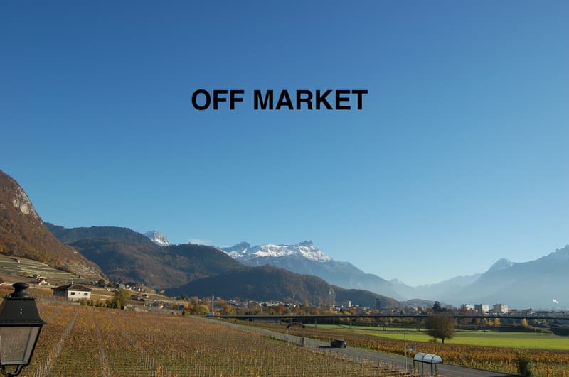 Farmland with rows of grapevines, distant mountains covered in snow, road and a bridge in the distance, a clear sky.