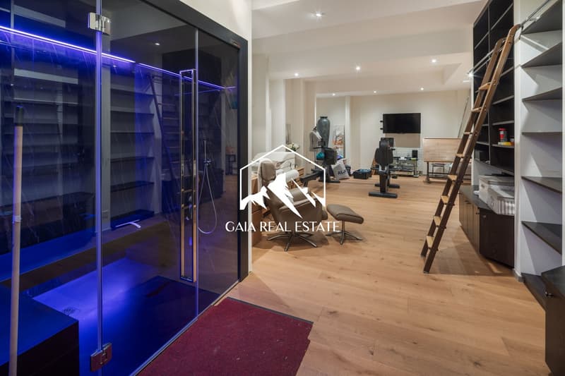 wooden floor, glass door, blue light, gym equipment, ladder, shelves, TV