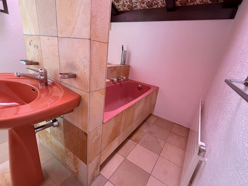 5.5-Zimmer-Einfamilienhaus mit Garten in Müntschemier kaufen (9)