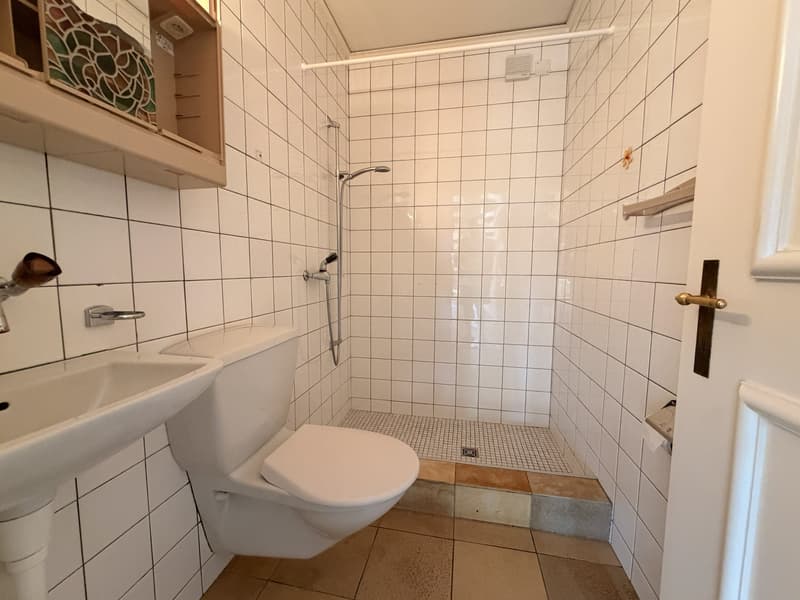 5.5-Zimmer-Einfamilienhaus mit Garten in Müntschemier kaufen (5)