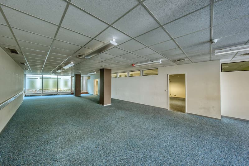 Ampio spazio per uffici nel cuore di Basilea - 420 m2 (3)