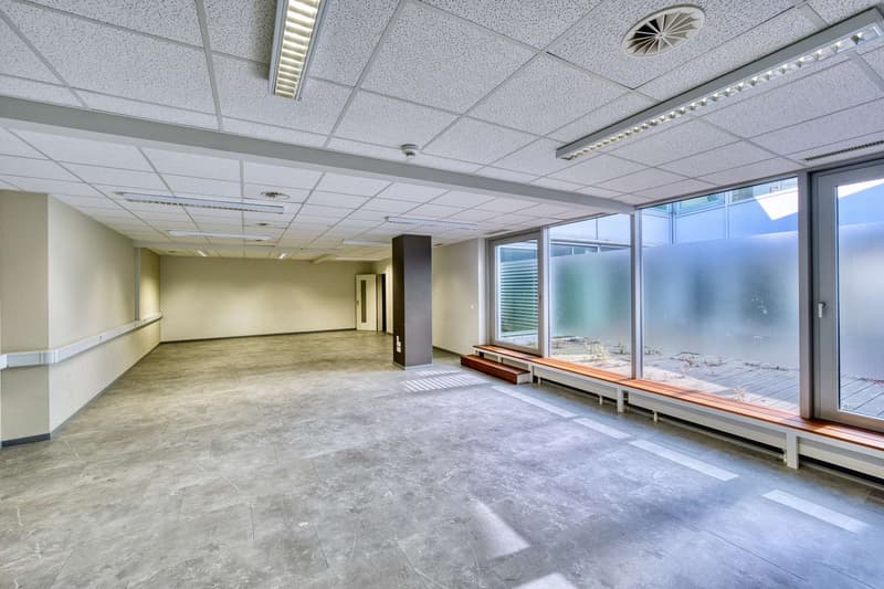 Ampio spazio per uffici nel cuore di Basilea - 420 m2 (2)