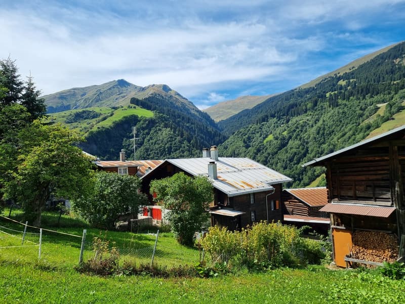 4.5-Zimmer-Haushälfte in idyllischem Bergdorf (14)