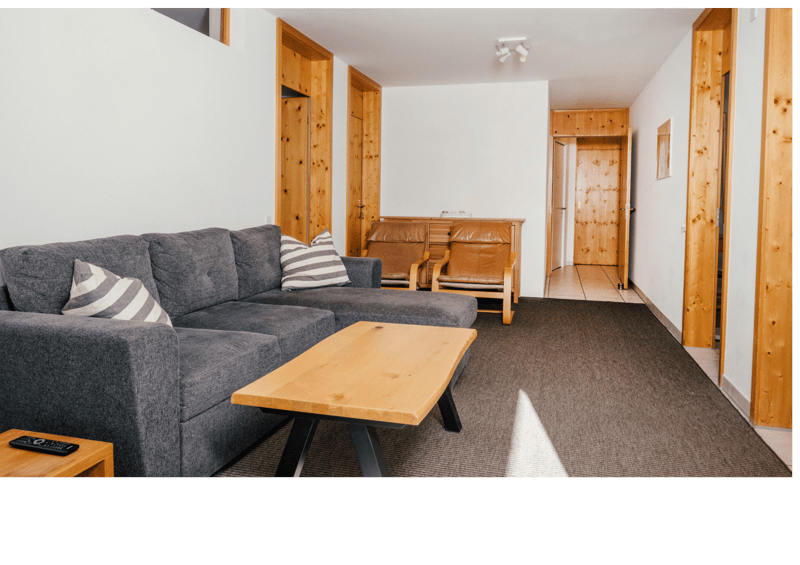 living room with sofa, coffee table, wooden armchairs, wooden floor, wooden walls, carpet