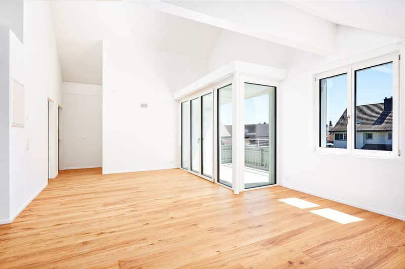 Modern attic apartment (11)