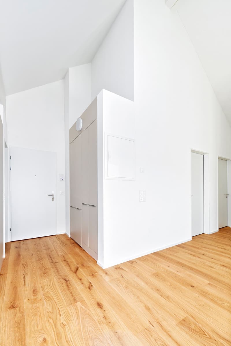 Modern attic apartment (9)