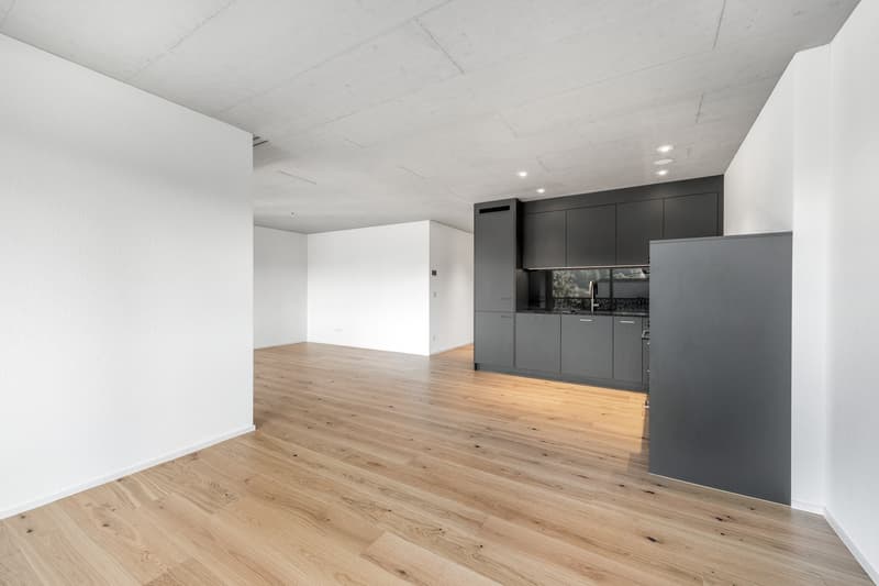 3.5-Zimmerwohnung (6)