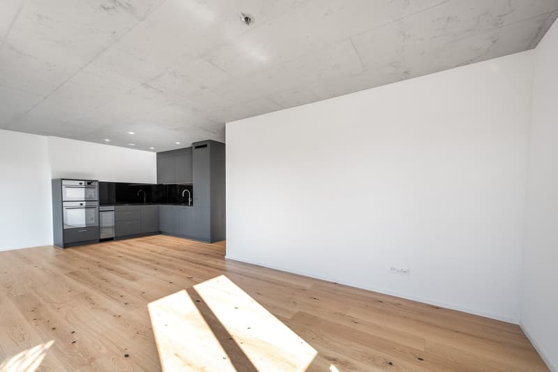 3.5-Zimmerwohnung (10)