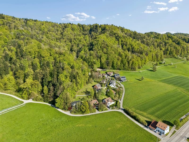 Villa in Stallikon – Private Nature. Pure Character. (61)