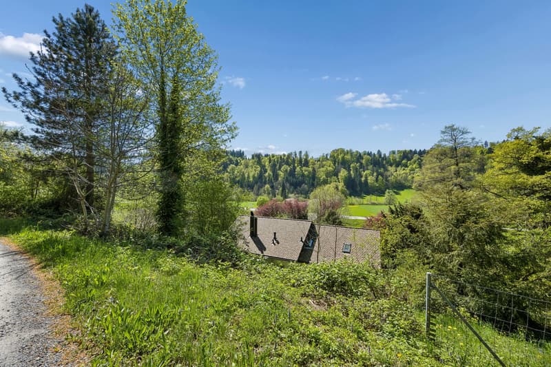 Villa in Stallikon – Private Nature. Pure Character. (65)
