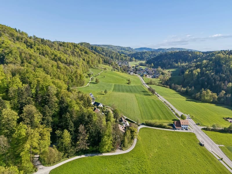Villa in Stallikon – Private Nature. Pure Character. (54)