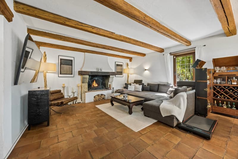 Villa in Stallikon – Private Nature. Pure Character. (3)