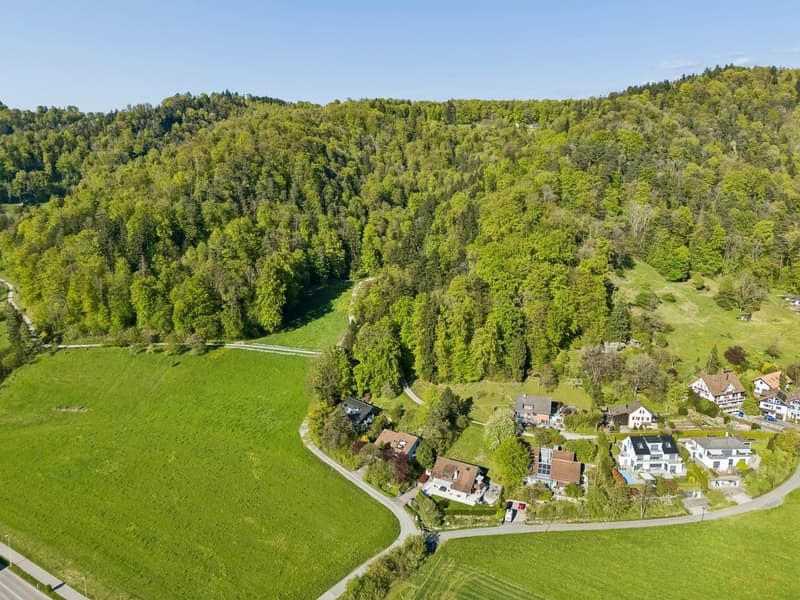 Villa in Stallikon – Private Nature. Pure Character. (63)