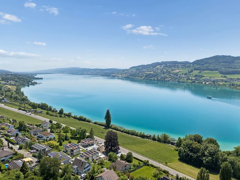 Exklusive Neubauvilla mit Pool und Seeblick (41)