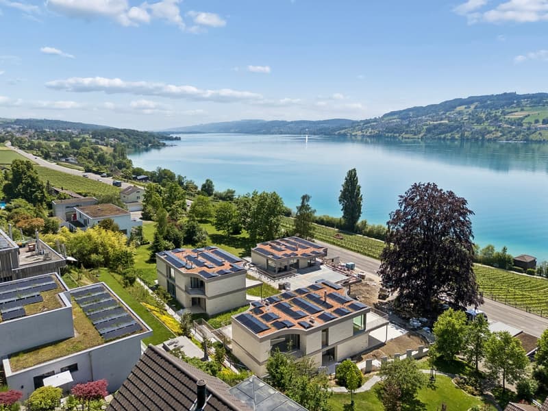 Exklusive Neubauvilla mit Pool und Seeblick (45)