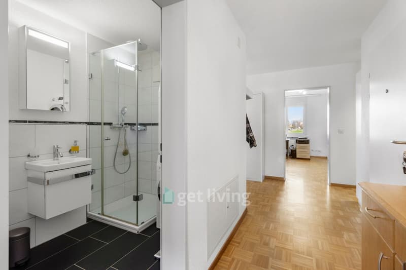 Family-friendly bright apartment on the outskirts of Dällikon (13)