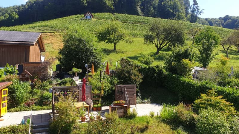 Living like in a single-family house with a garden seating area (2)