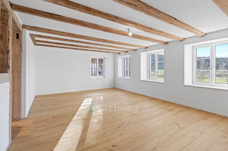 TOP-RENОВATED TERRACED HOUSE FOR NATURE AND COMFORT LOVERS (7)
