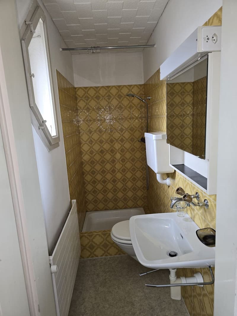 3.5 Zimmer Wohnung an guter Lage (8)