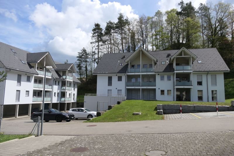 Moderne 4.5-Zimmer-Maisonette-Wohnung in idyllischer Lage (1)