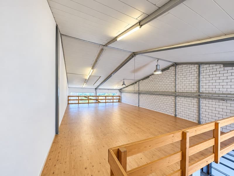 Grosszügige Gewerbefläche geeignet für Werkstatt, Atelier, Showroom, Produktion, Büro, Lager (3)
