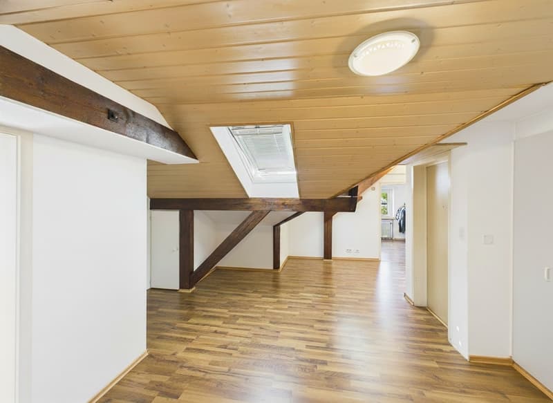 Affordable attic apartment for singles (3)