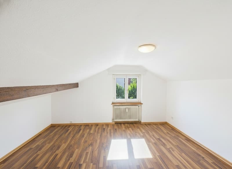 Affordable attic apartment for singles (2)