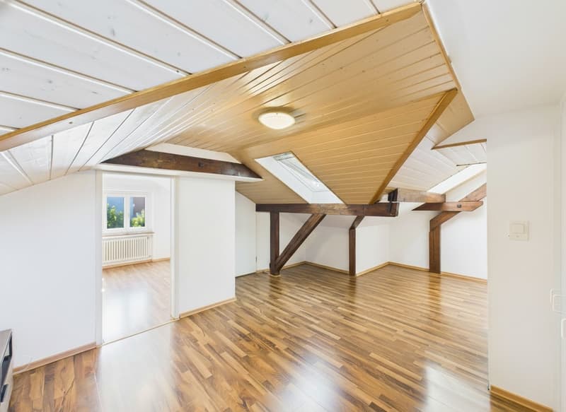 Affordable attic apartment for singles (1)