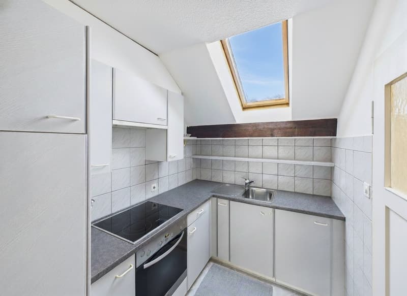 Affordable attic apartment for singles (5)