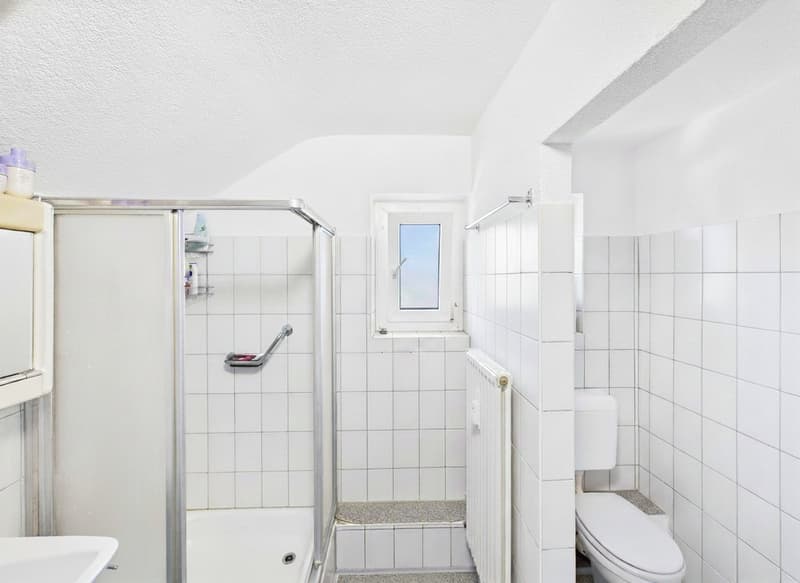 Affordable attic apartment for singles (6)