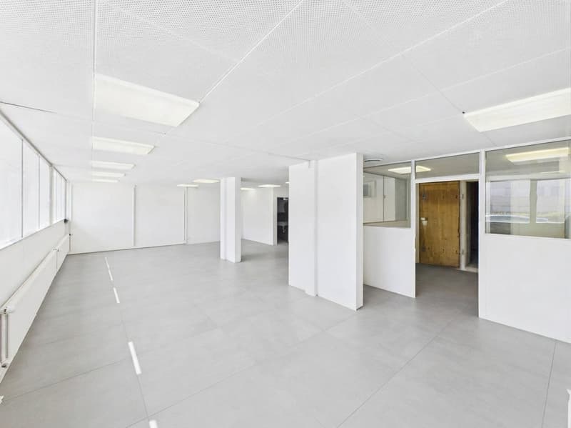 Ihre Geschäftsadresse an der Hauptstrasse – Gewerbefläche mit hoher Sichtbarkeit (5)