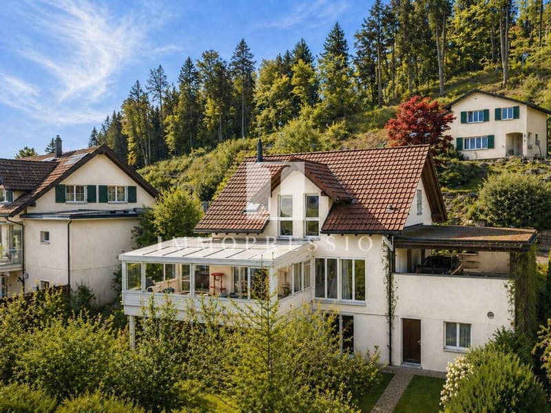 Once EVERYTHING in MADETSWIL – Winter garden, sauna, garden & much more! (1)