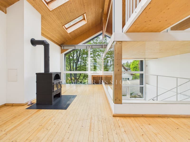 Exclusive architectural gem in an idyllic location in Seewen (2)