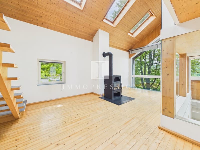 Exclusive architectural gem in an idyllic location of Seewen (3)