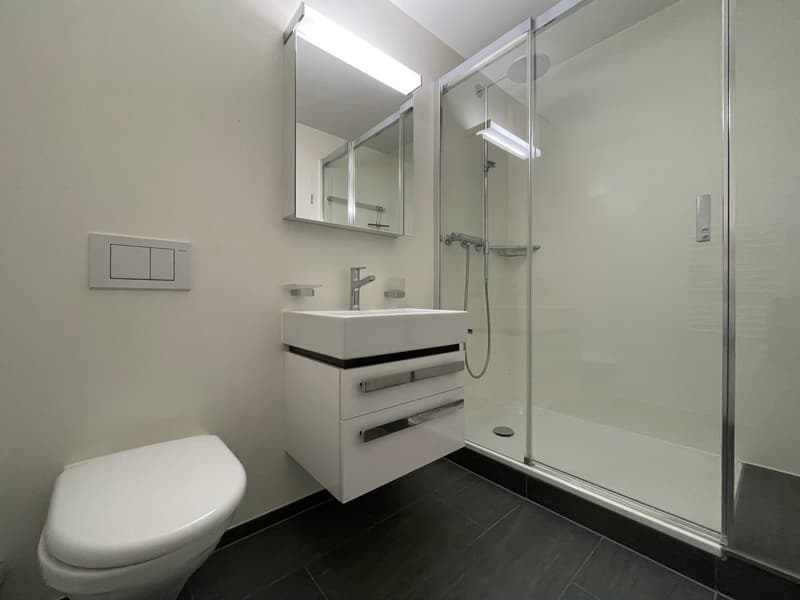 Moderne 3,5-Zimmer-Eigentumswohnung mit gedecktem Balkon und eigener Garagenbox – mitten im Gundeli (5)