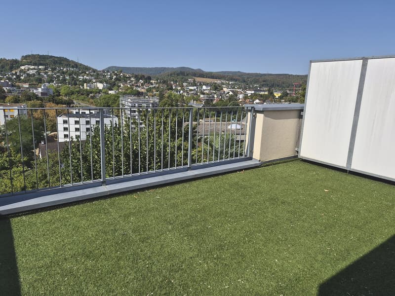 4,5 Zimmer-Reiheneckhaus mit unverbaubarer Aussicht am Sonnenhang von Liestal (3)