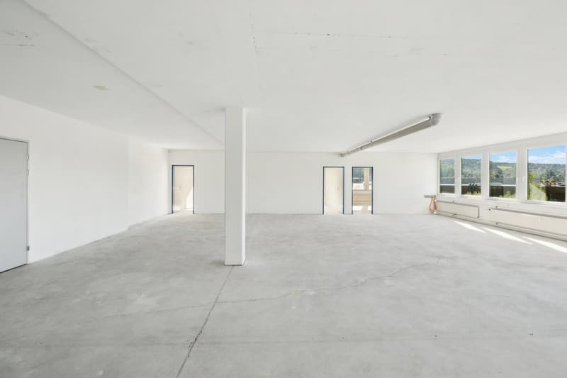 Espaces commerciaux fonctionnels dans un environnement attrayant (4)