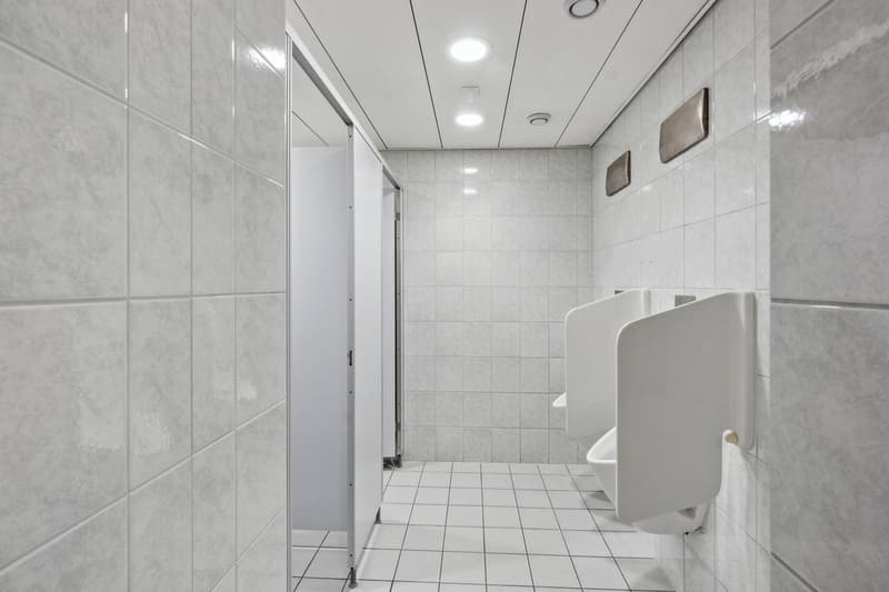 Espaces commerciaux fonctionnels dans un environnement attrayant (8)