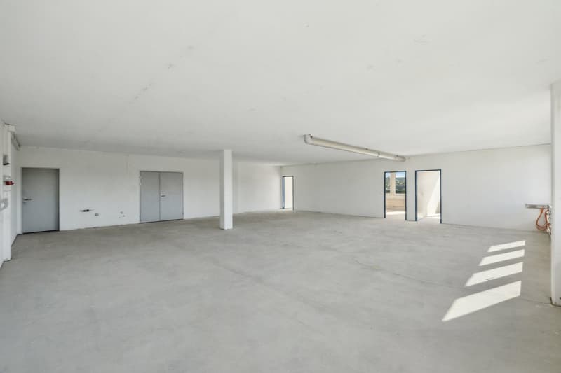 Espaces commerciaux fonctionnels dans un environnement attrayant (6)