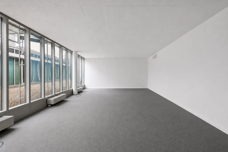 Move in and get started! Modern office space in the center of Brugg! (2)