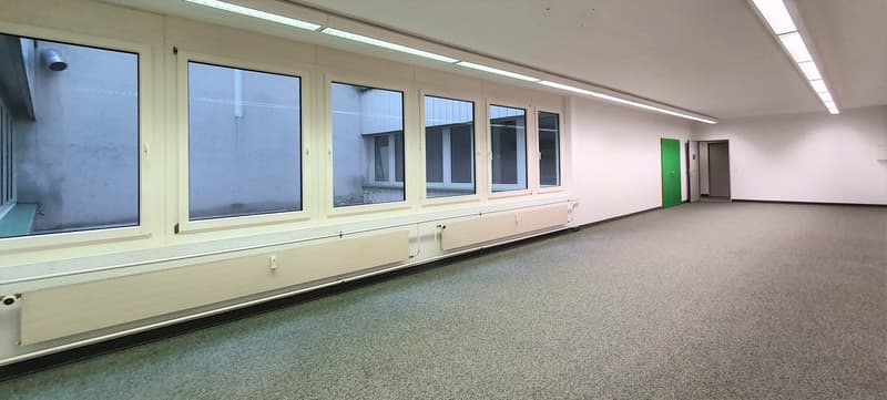 Zweckmässige Gewerbeflächen in attraktivem Umfeld (4)