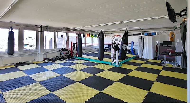 Zweckmässige Gewerbeflächen in attraktivem Umfeld (1)
