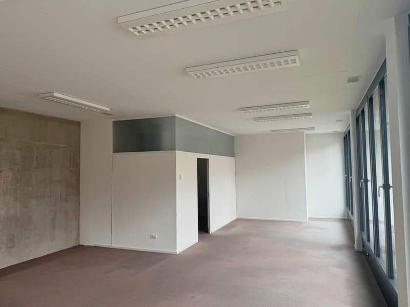 Gewerberaum im Zentrum von Widnau (4)