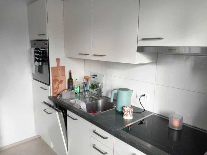 Möblierte 2.5 Zimmerwohnung mit Balkon (2)