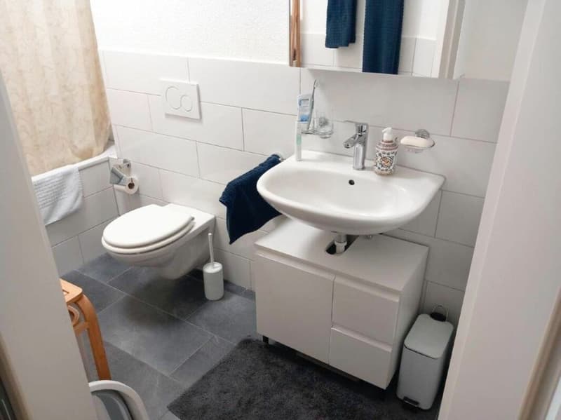 Möblierte 2.5 Zimmerwohnung mit Balkon (7)