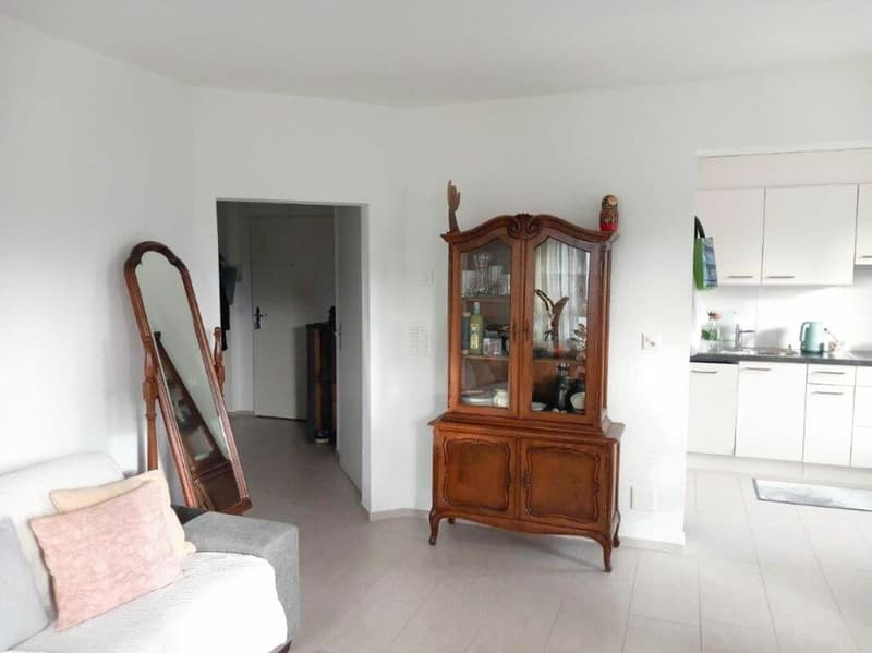 Furnished 2.5 room apartment with balcony (3)