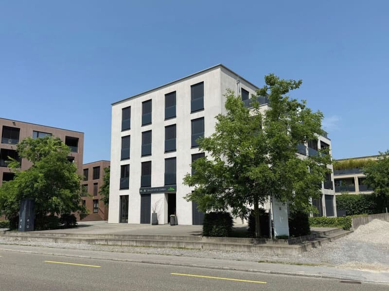 Gewerberaum im Zentrum von Widnau (1)