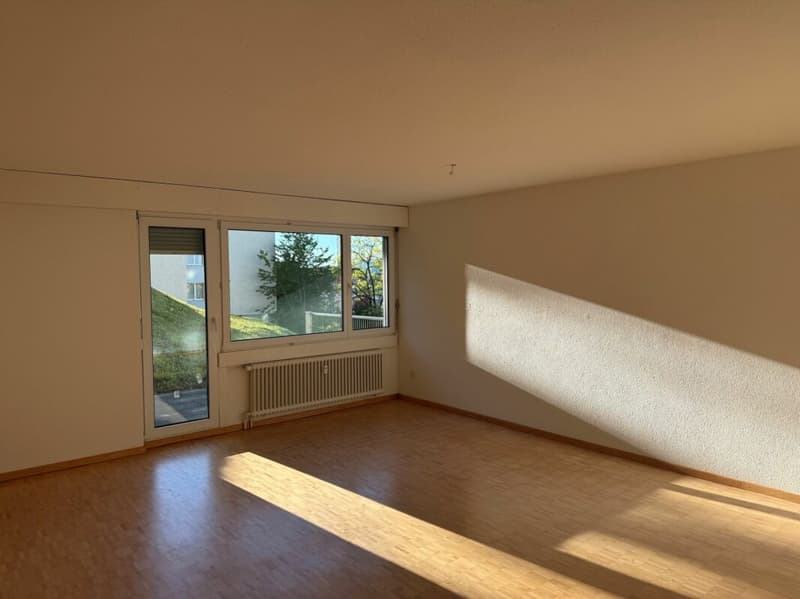 3.5 Zimmerwohnung mit Sitzplatz (7)