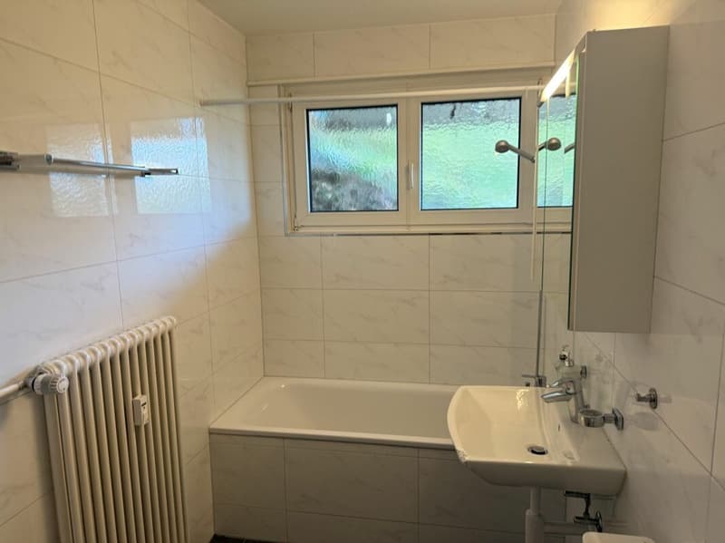 3.5 Zimmerwohnung mit Sitzplatz (5)